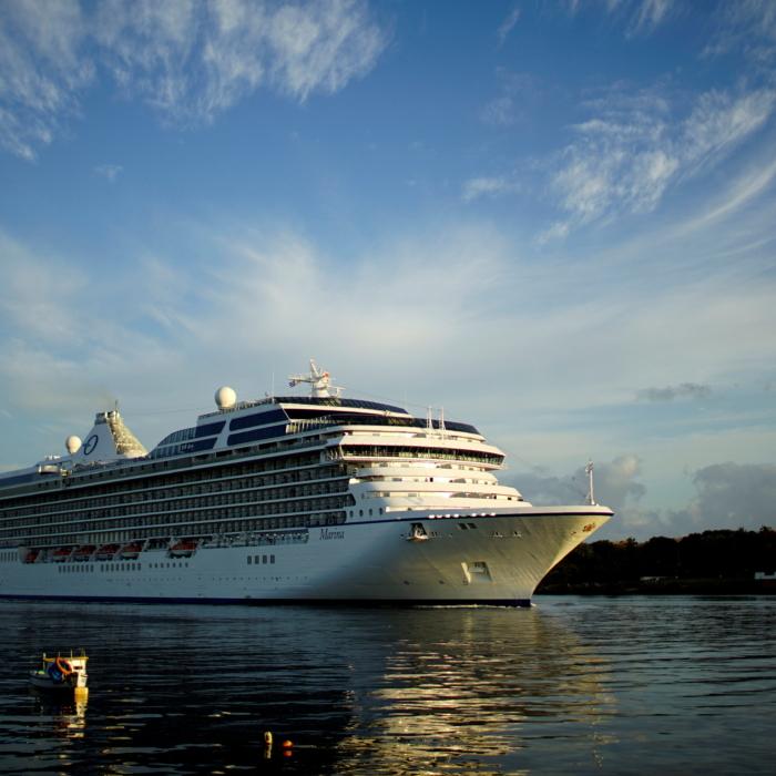 CDC Reveals Outbreak on Cruise Ship From ‘Unknown’ Illness