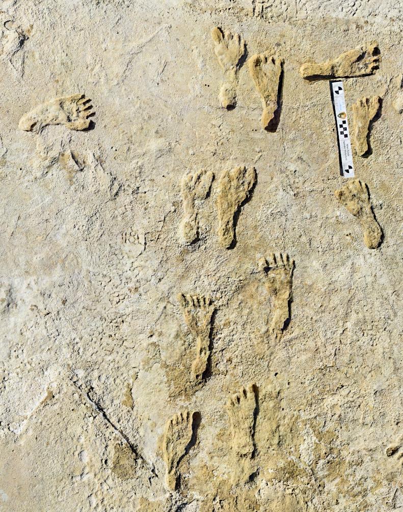 South African Human Fossils More Than a Million Years Older Than Previously Thought