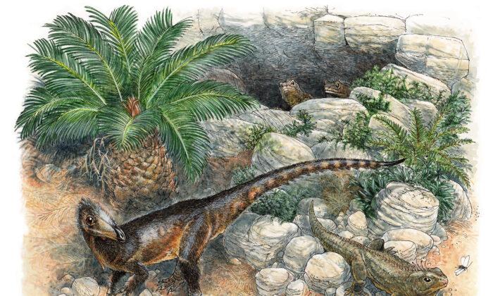 Tiny Meat-Eating Dinosaur Discovered