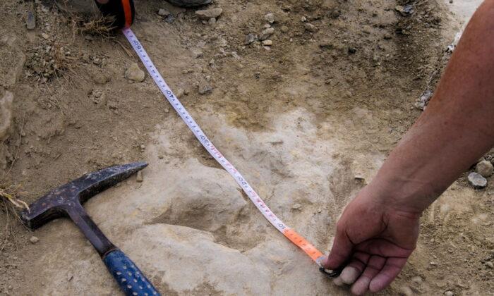 Footprints in Spain Show Meat-Eating Dinosaurs Were Fast and Furious