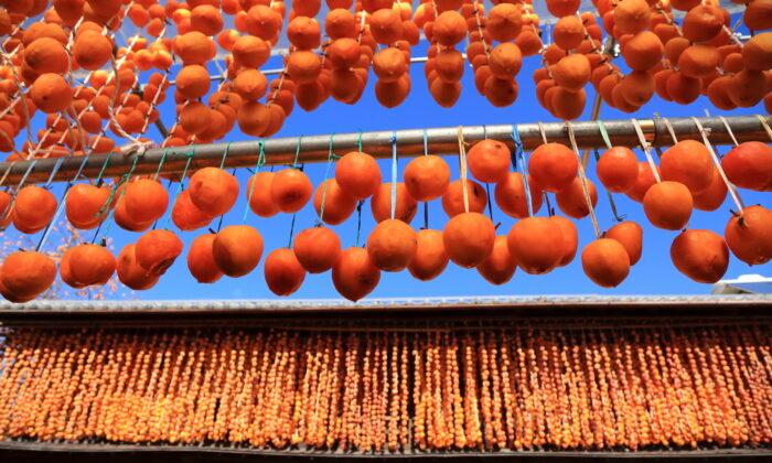 The Patient Art of Drying Persimmons