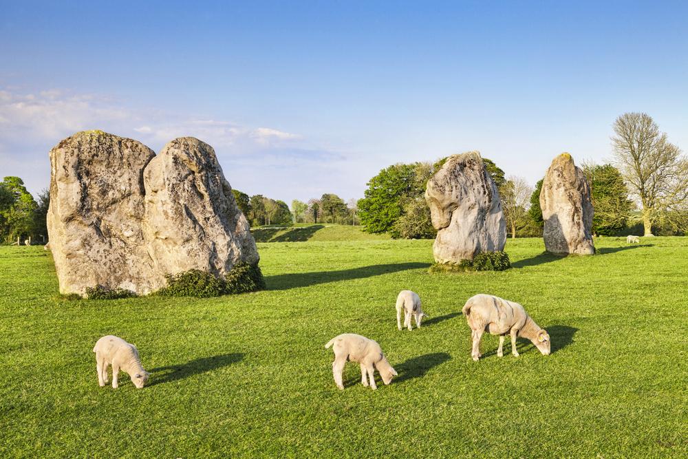 Sheep graze near the stone circle at Avebury. (travellight/Shutterstock)