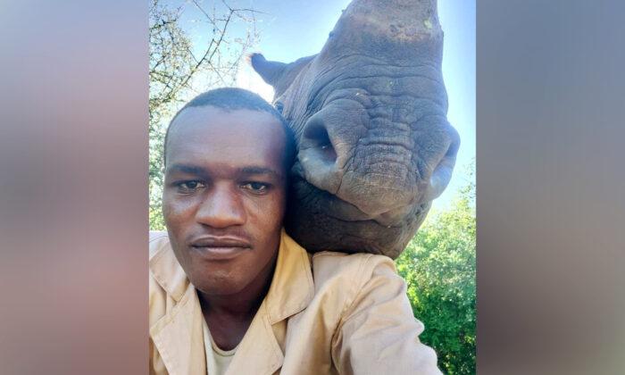 Wildlife Keeper Snaps a Hilarious Selfie With the Huge Rhino That Is Under His Care