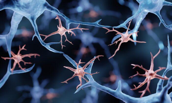 Stopping Cellular Stress May Be Key in Treating Early-Onset Dementia: Study