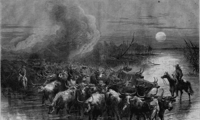 American Pioneer Adventures: Nelson Story Led The Longest Cattle Drive in History, from Texas to Montana