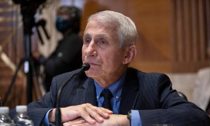 Fauci’s Agency Cancels Experimental Testing on Puppies: Senator