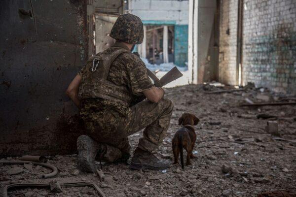 A Ukrainian service member with a dog observes in the industrial area of the city of Sievierodonetsk on June 20, 2022. (Oleksandr Ratushniak TPX Images of the Day/Reuters)