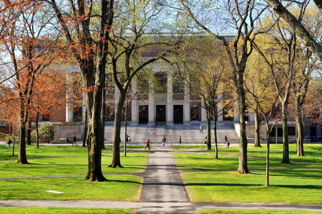 What Happens When Universities Put Ideologies Before Academic Values?