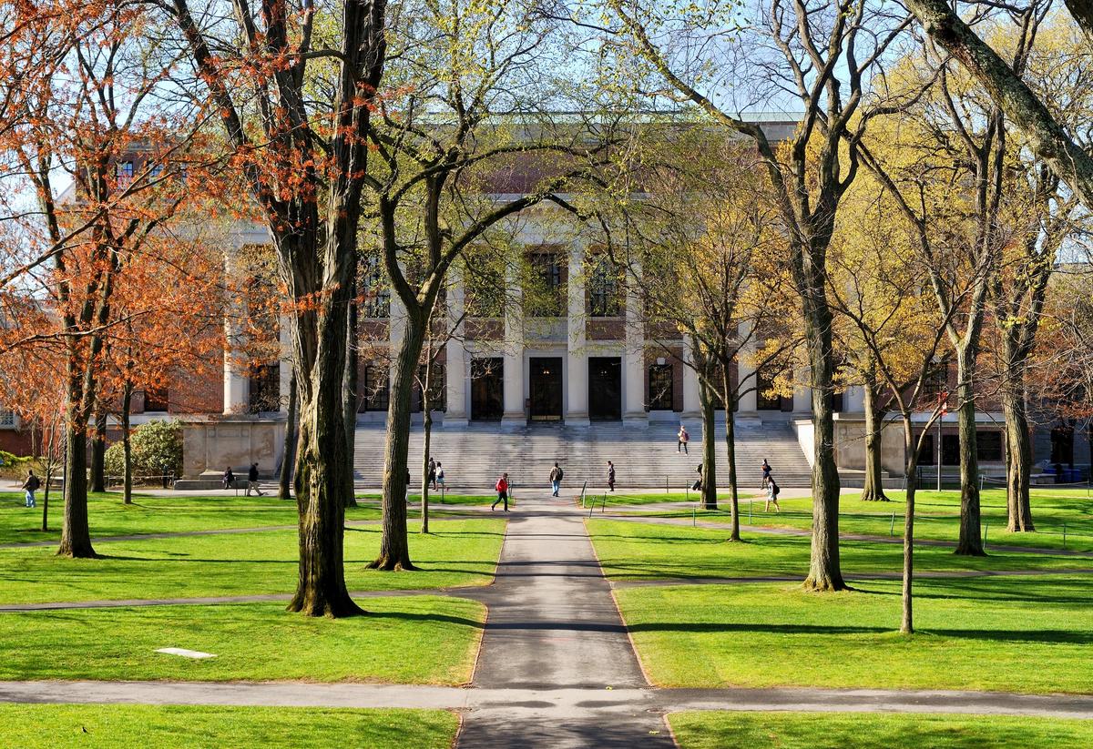 What Happens When Universities Put Ideologies Before Academic Values?