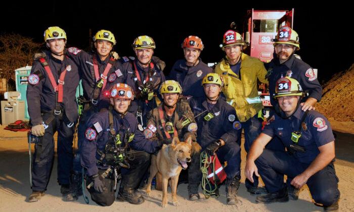 Blind Dog Rescued From Hole at California Construction Site