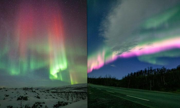 ‘Awe-Inspiring Sights’: Aurora Spotter Captures Ultra-Rare Orange and Pink Northern Lights in Norway