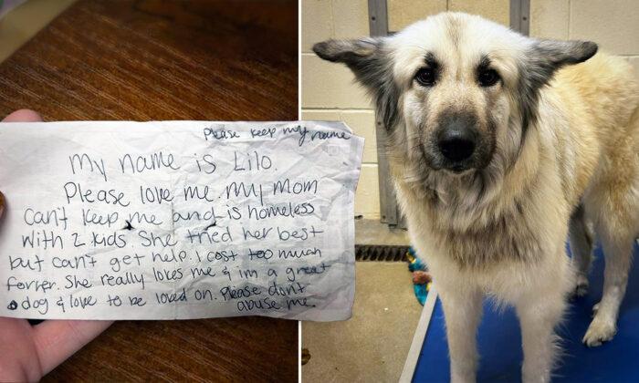 Dog Abandoned by Owner Who Became Homeless but Left Note—Until Strangers Step In to Reunite Them