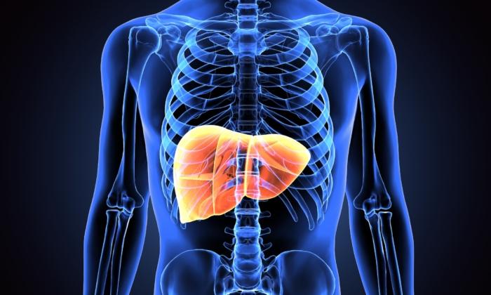 Unveiling Liver Health: The Visible Clues in Two Body Parts and a Method to Enhance Liver Function