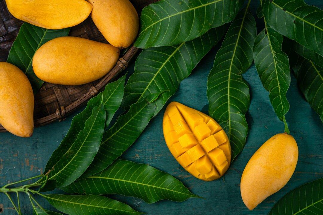 Miami Chef’s Guide to All Things Mango