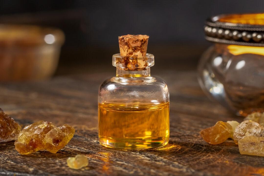 Frankincense: A First Aid Essential Oil With Anti-Arthritic, Analgesic, Anti-Microbial Effect and More