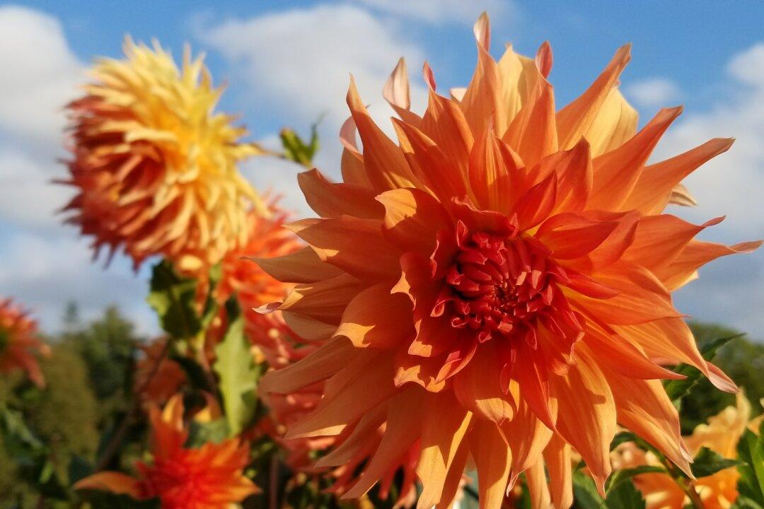 Charity, Beauty, and Dedication Are Civilization’s Building Blocks