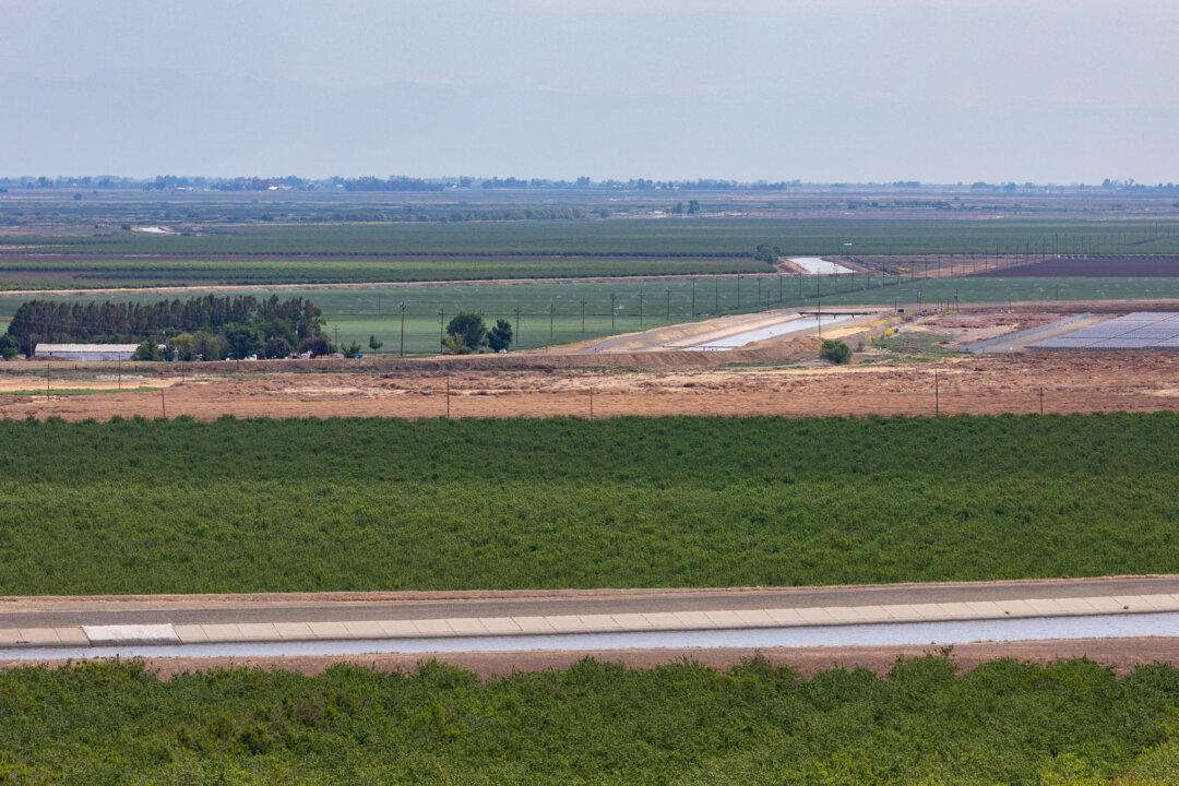 US Takes a Stand on Agricultural Security to Counter CCP Threat