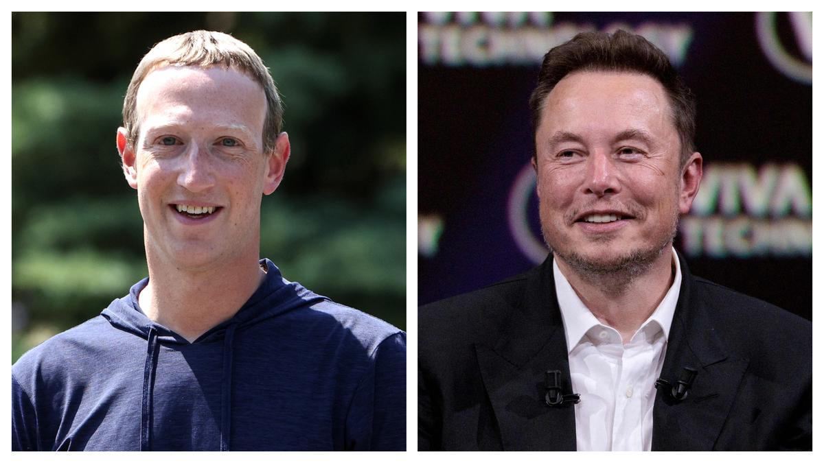 Musk Gives Update on Cage Fight With Zuckerberg