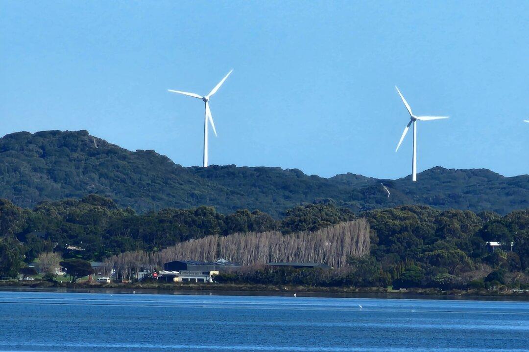 NSW Bar Opposes 3-Year Moratorium on ‘Greenwashing’ Lawsuits