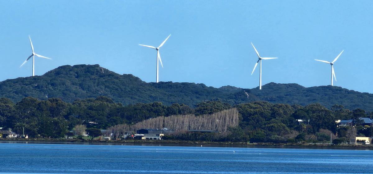 NSW Bar Opposes 3-Year Moratorium on ‘Greenwashing’ Lawsuits