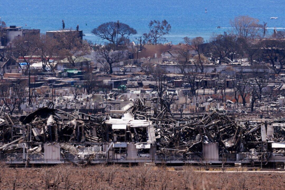 Doctors, Dentists, and Anthropologists Striving to Identify Maui’s Victims