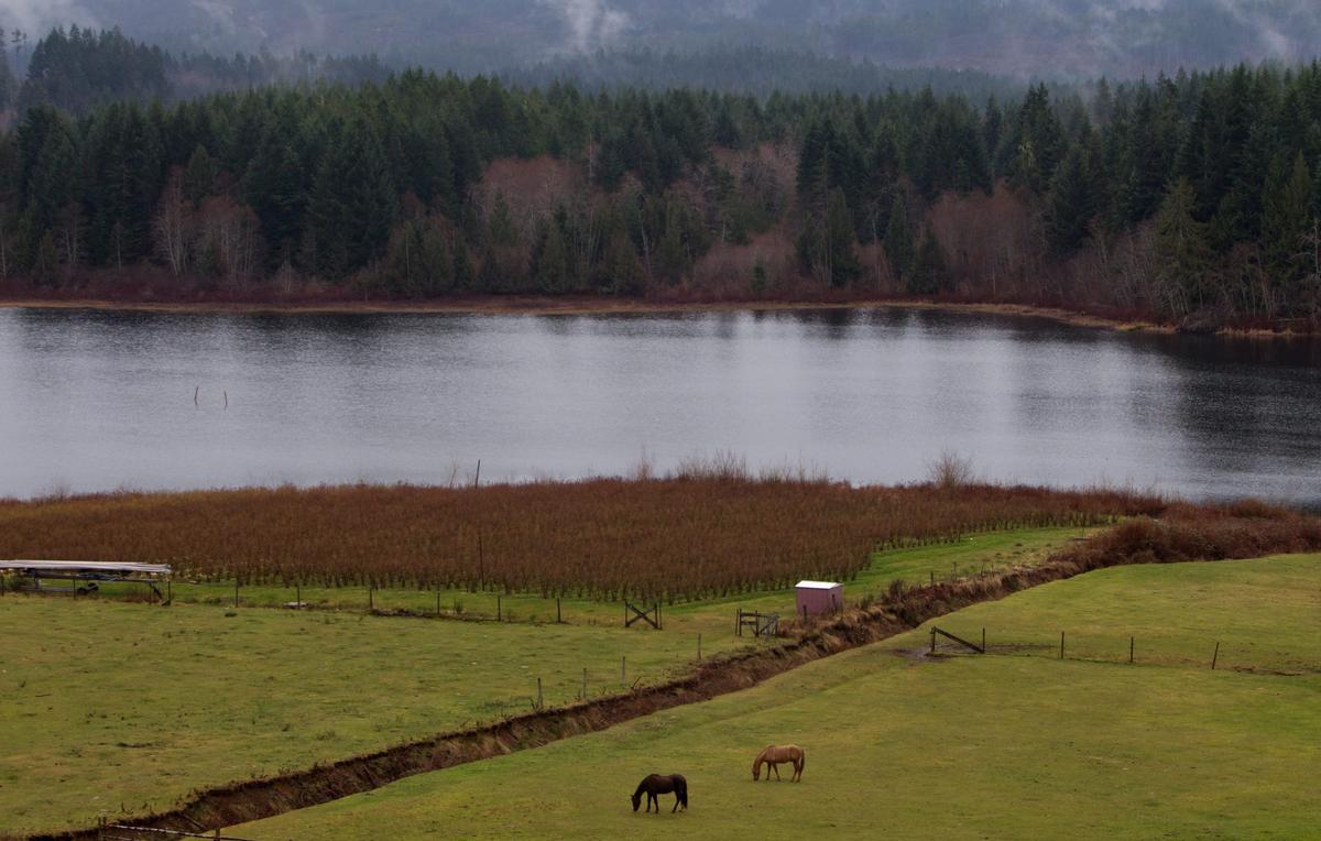 BC Farmers Say Groundwater Use Rules Are Putting Food Security at Risk