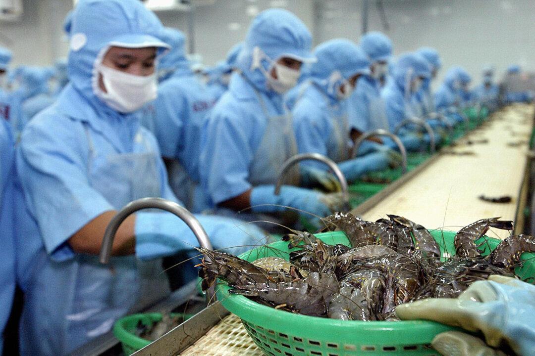 Japan Shifts Seafood Processing Hub From China to Vietnam Amidst Fukushima Fallout