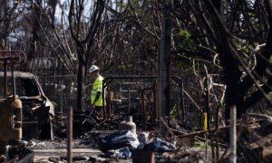 911 Calls From Maui Capture Pleas for the Stranded, the Missing and Those Caught in the Fire’s Chaos