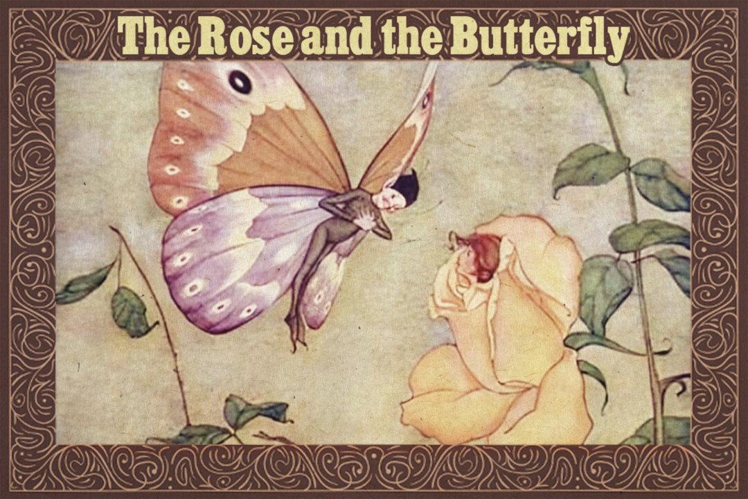 Miss Rose Sees Mister Butterfly Flirting With Others—Their Innocent Conflict Is a Big Relationship Lesson