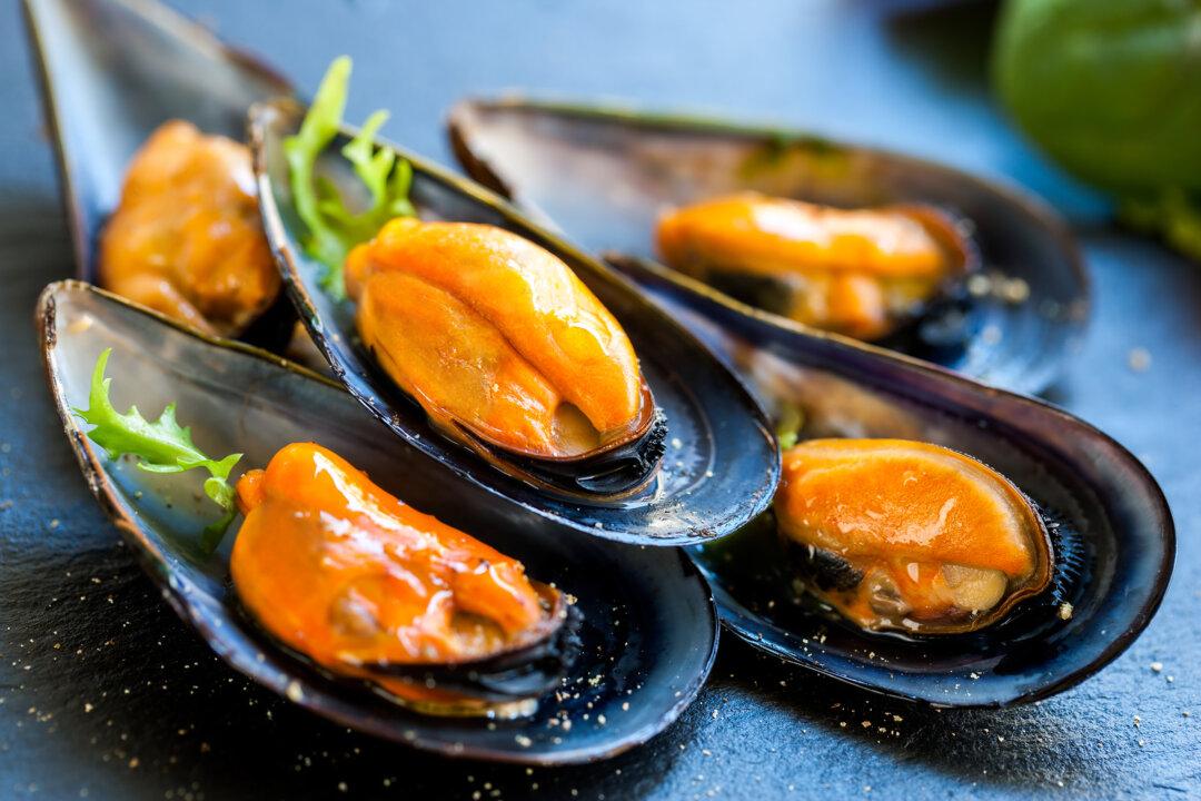 How This Seafood Could Help Preserve Muscles and Combat Joint Infections After Surgery
