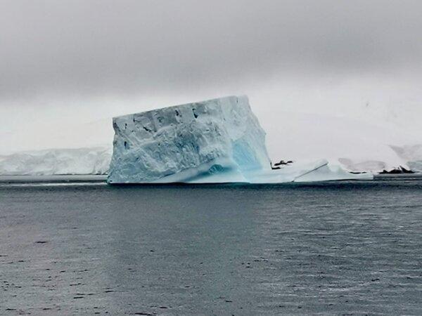 Iceberg photo taken in the Gerlache Strait, Antarctica, in February 2024. (Cesar Calani/The Epoch Times)