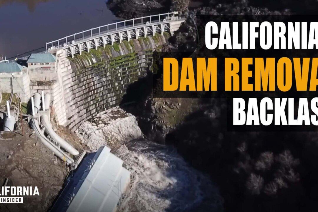 California’s Dam Removal Damages: Local Farmers Fear Liability for Massive Salmon Deaths | Theodora Johnson