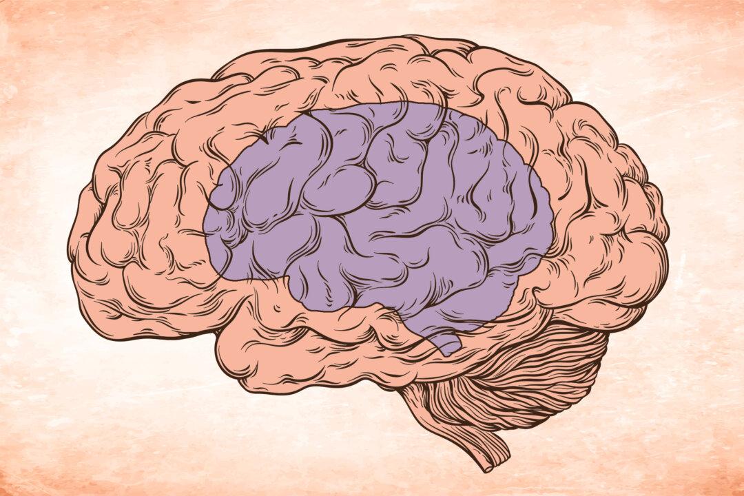 How to Shrink Your Brain Vs. How to Grow It