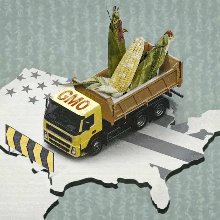 The US–Mexico Dispute Over GM Corn Safety Could Transform American Agriculture