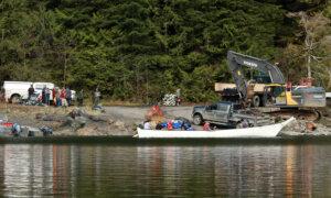 BC Rescue Team Regroups After Little Orca Thwarts Capture in Remote Lagoon