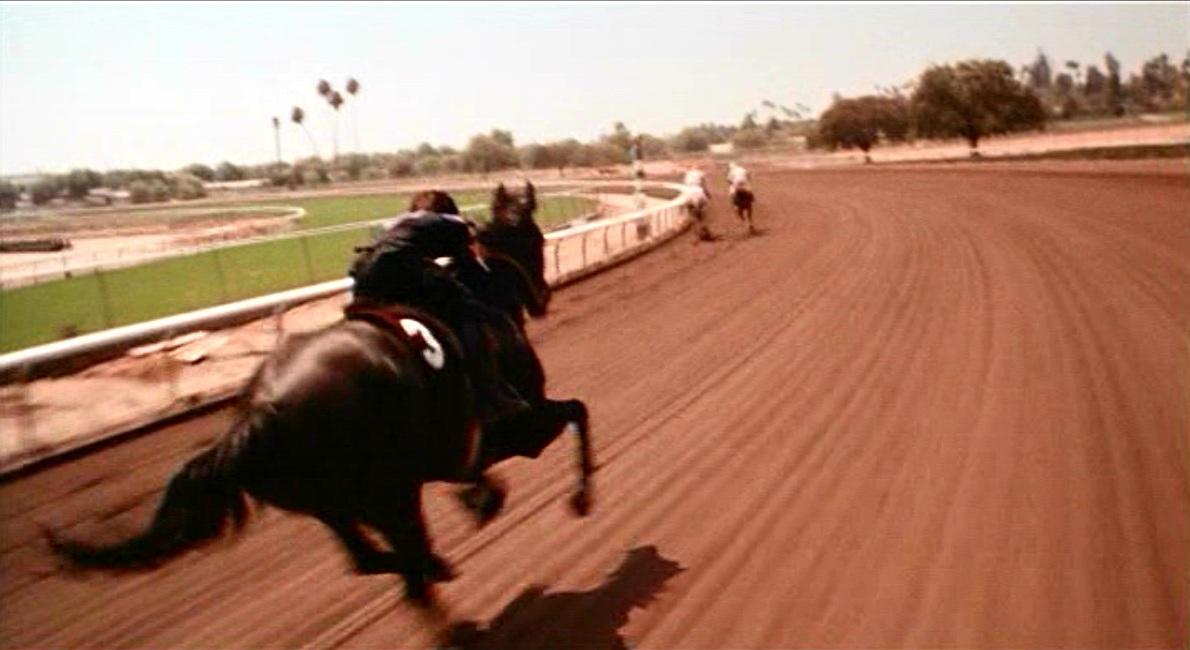 Alec Ramsey (Kelly Reno) rides The Black (Cass-Ole), in "The Black Stallion." (United Artists)