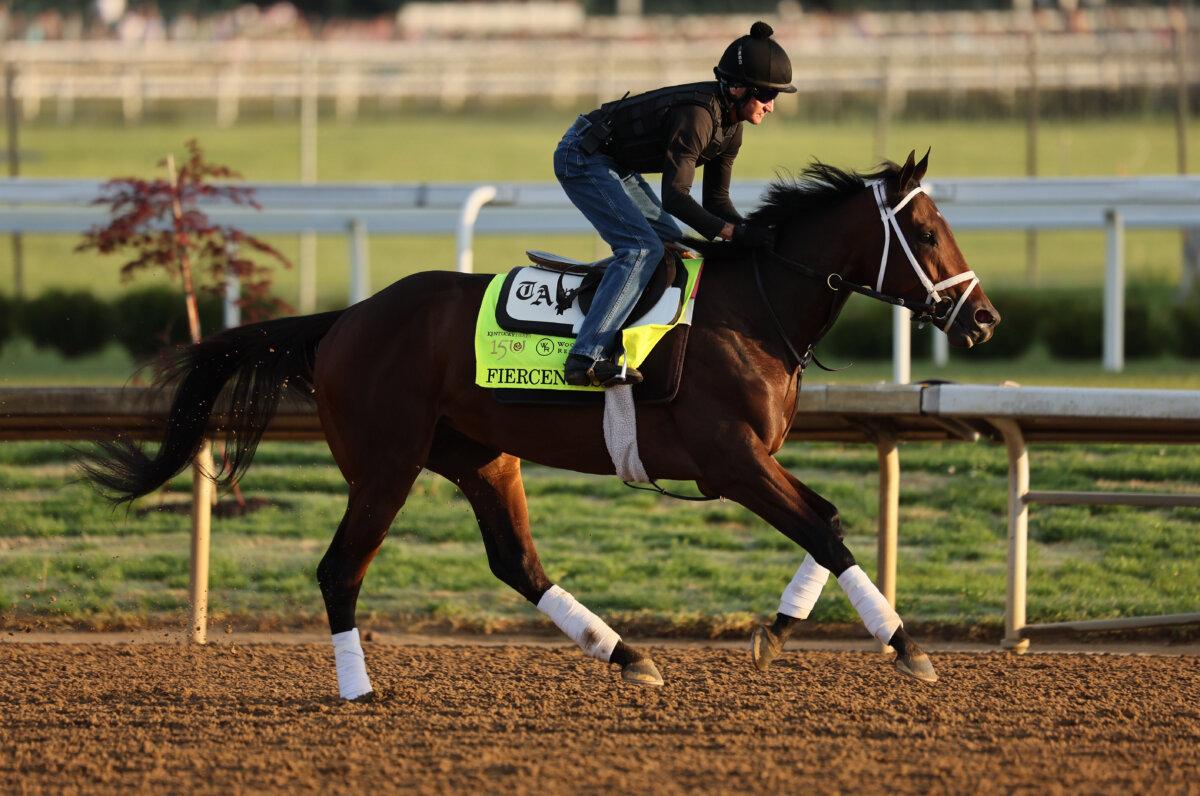 Fierceness runs on the track during the morning training for the Kentucky Derby at Churchill Downs in Louisville, Ky., on May 1, 2024. (Andy Lyons/Getty Images)
