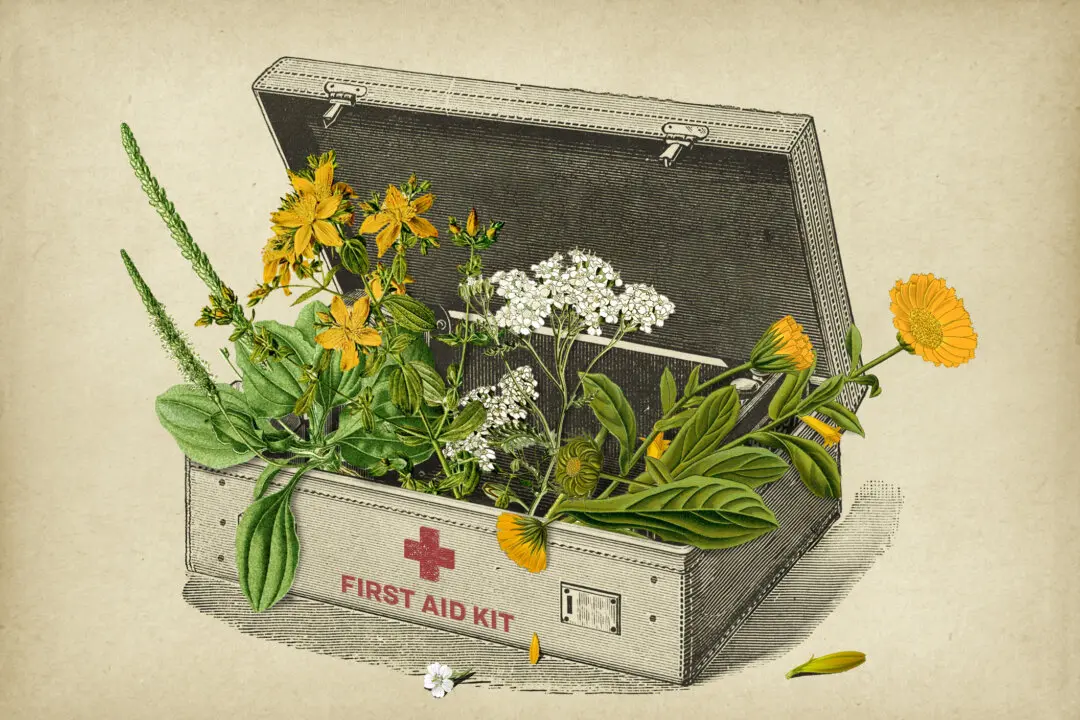 Former Green Beret Medic Teaches Herbal First Aid and Off-Grid Life Skills