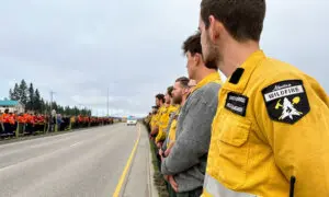 Alberta Forestry and Parks Charged With 6 Safety Violations Linked to 2024 Jasper Firefighter Death