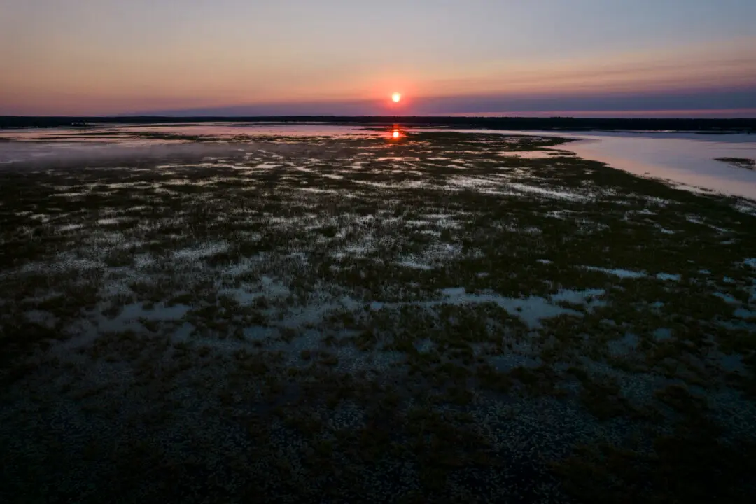 Interior Department Approves Funding to Conserve 190,000 Acres of Critical Wetland