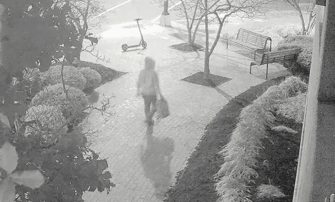 LIVE NOW: House Judiciary Subcommittee Holds Hearing on DNC, RNC Pipe Bombs Probe