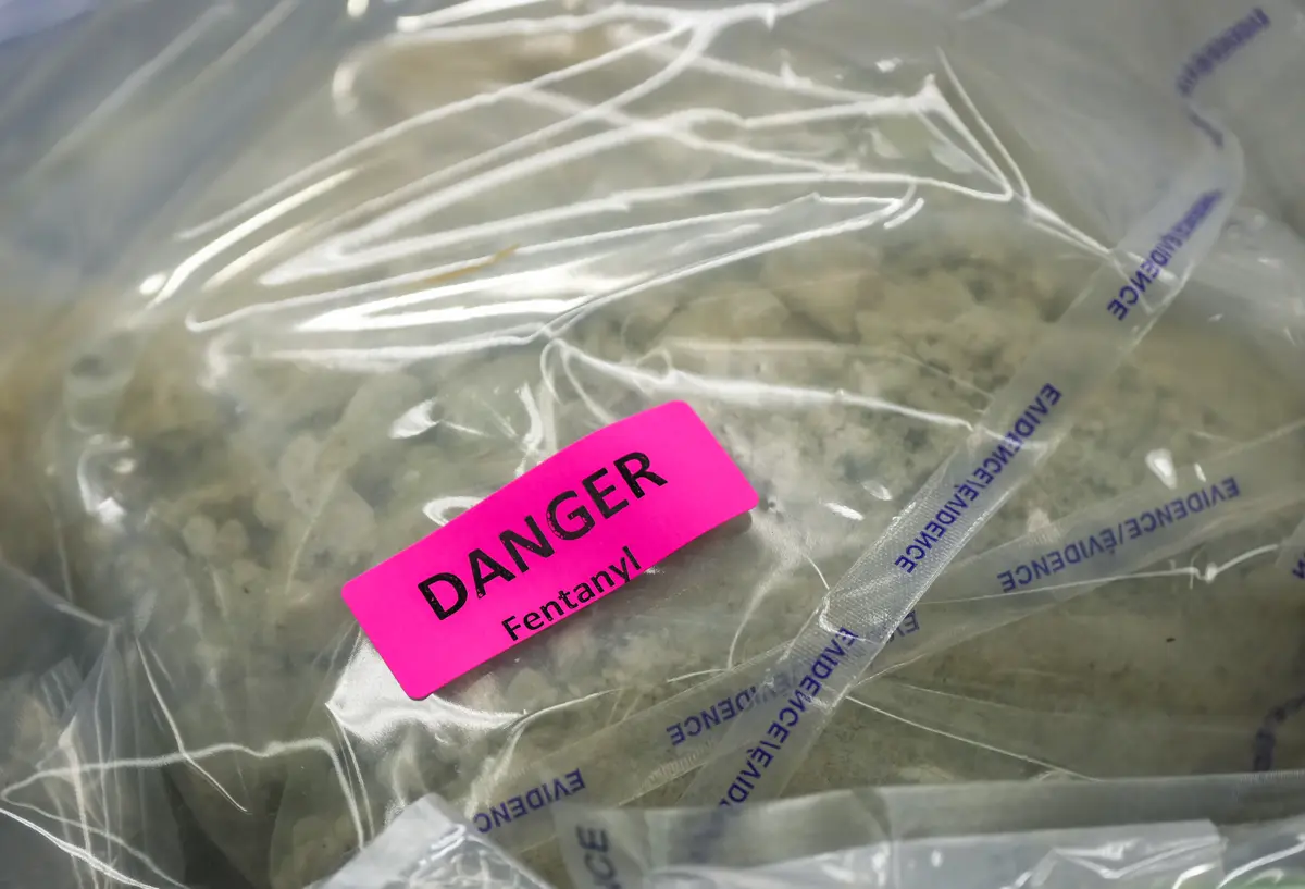 RCMP Says Mexican Cartels Not Major Players in Canadian Drug Production After US Officials Raise Concerns