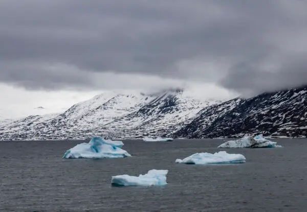 Greenland’s Political Leaders Rebuff Trump’s Takeover Talk
