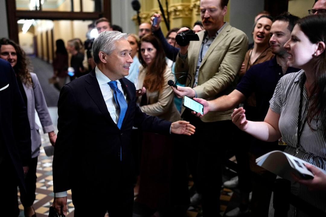 Federal Government Won’t Table Budget This Year, Finance Minister Says