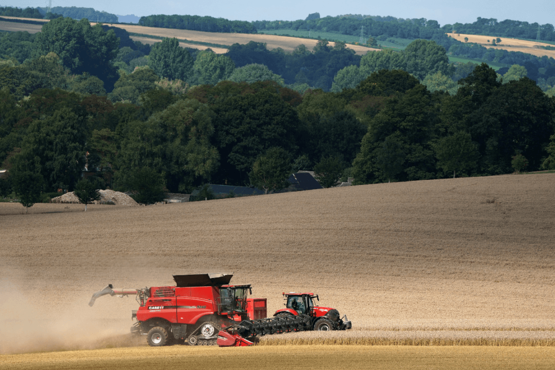 MPs Call for Delay to Inheritance Tax Change to Protect ‘Vulnerable Farmers’