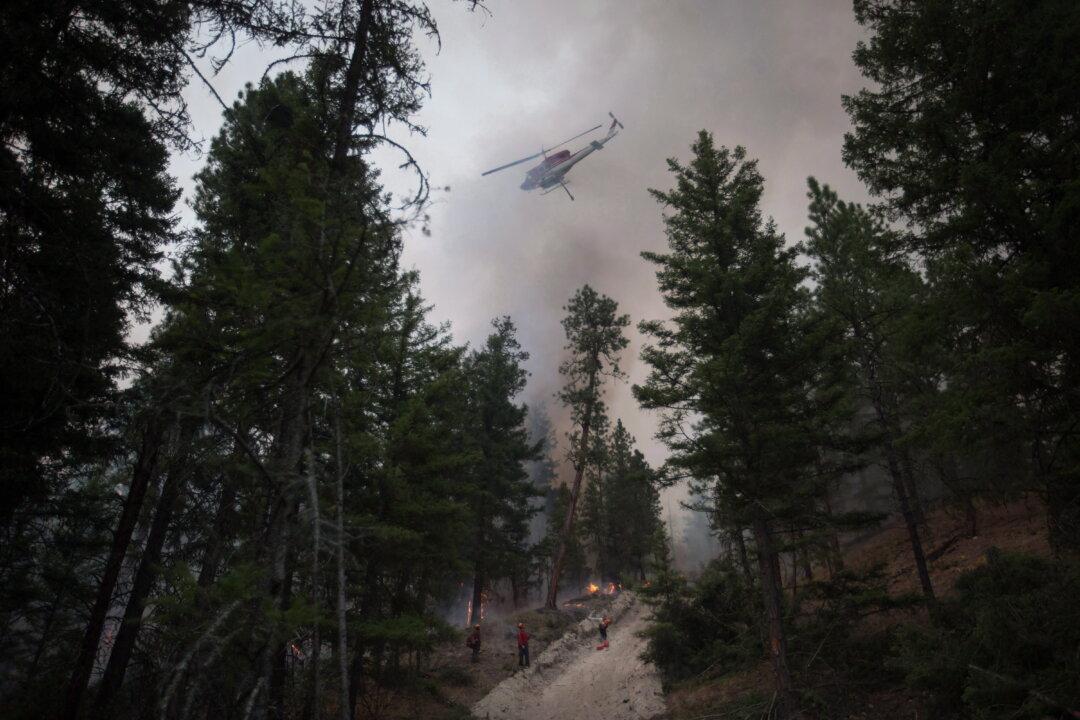 BC Sending Almost 100 Firefighters to Ontario, After 42 Deployed to Manitoba