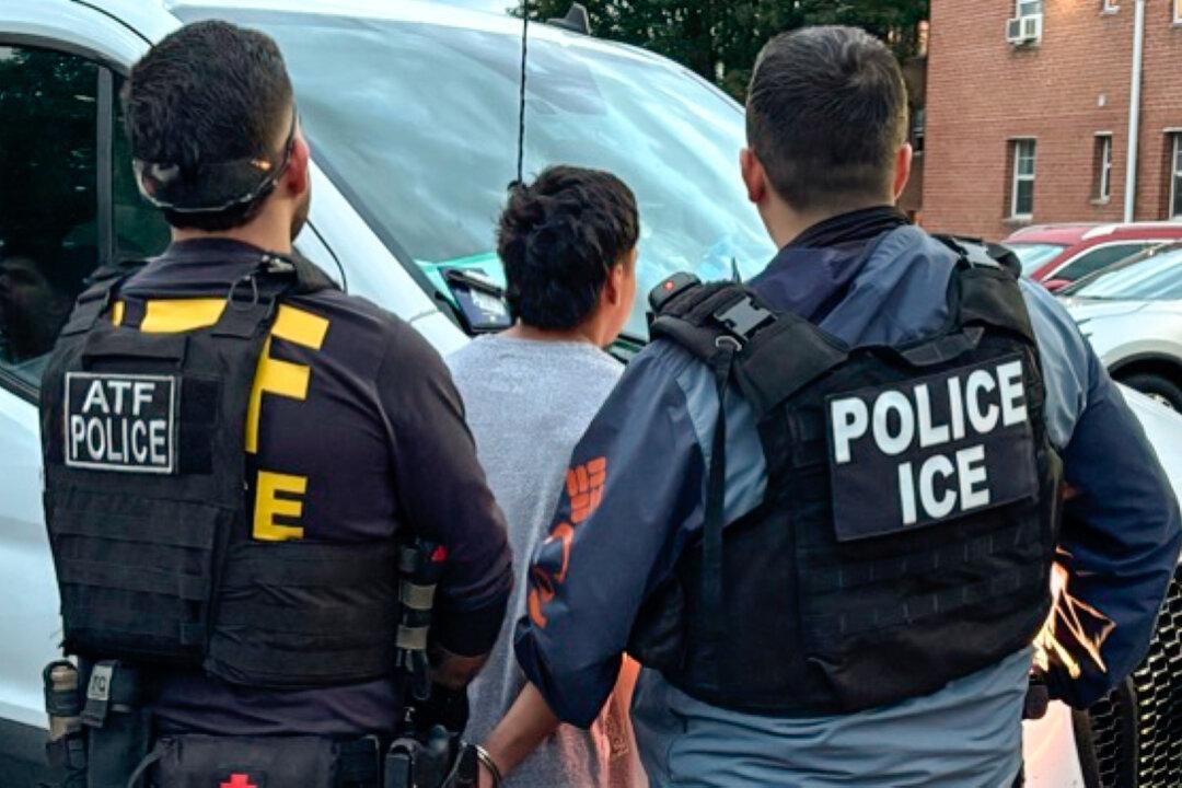 Tren de Aragua Gang Member and Illegal Immigrant Attacks ICE, FBI Agents