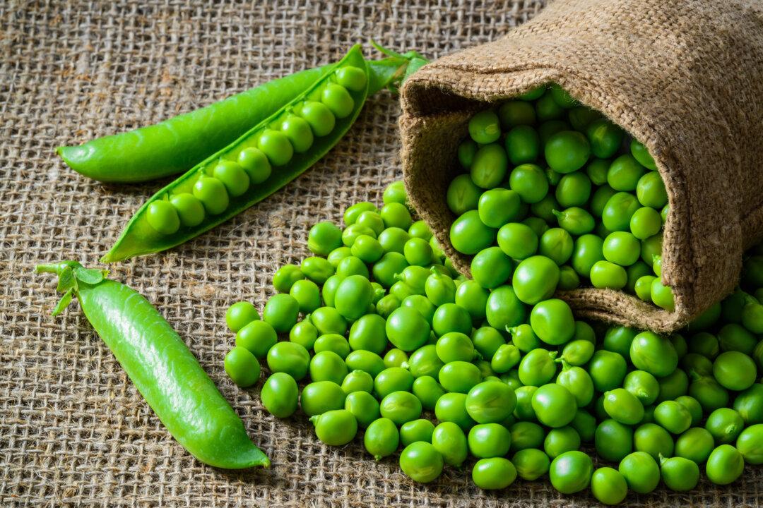 Snap, Shell, or Snow, Peas Are a Summertime Staple