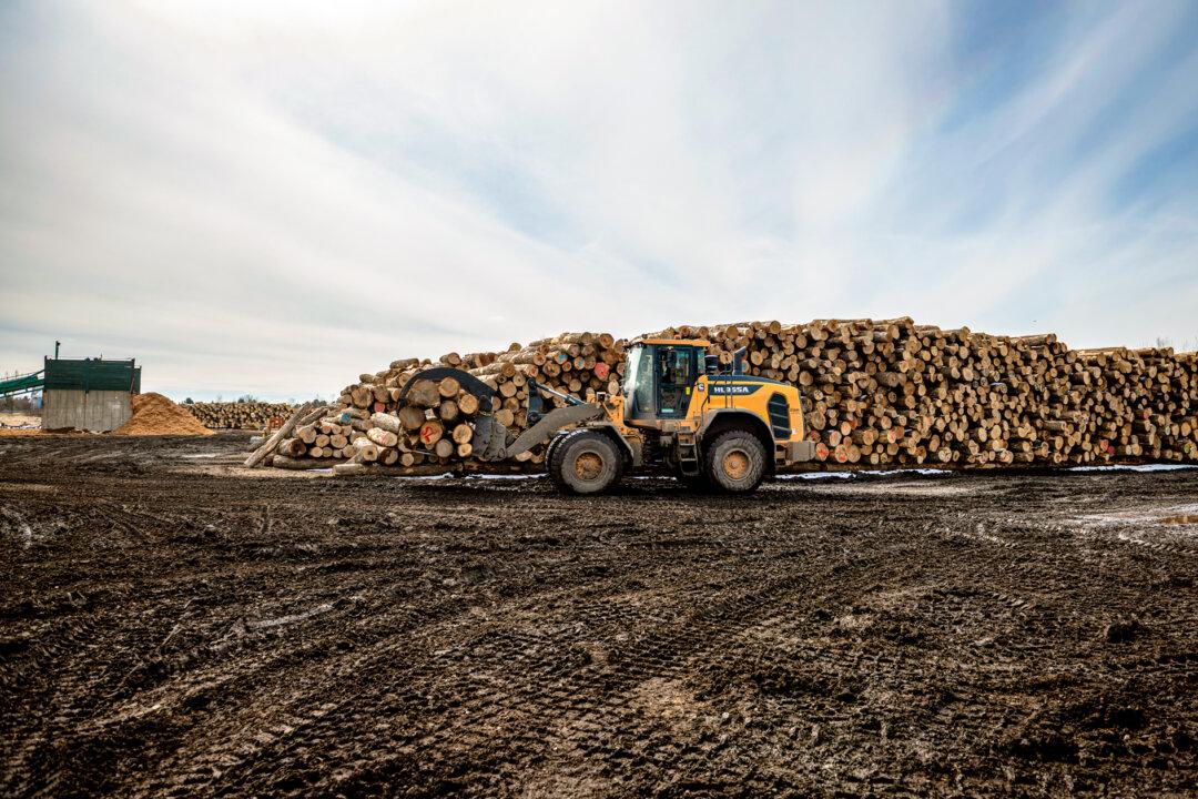 Trump Admin Imposes Higher Tariffs on Canadian Lumber