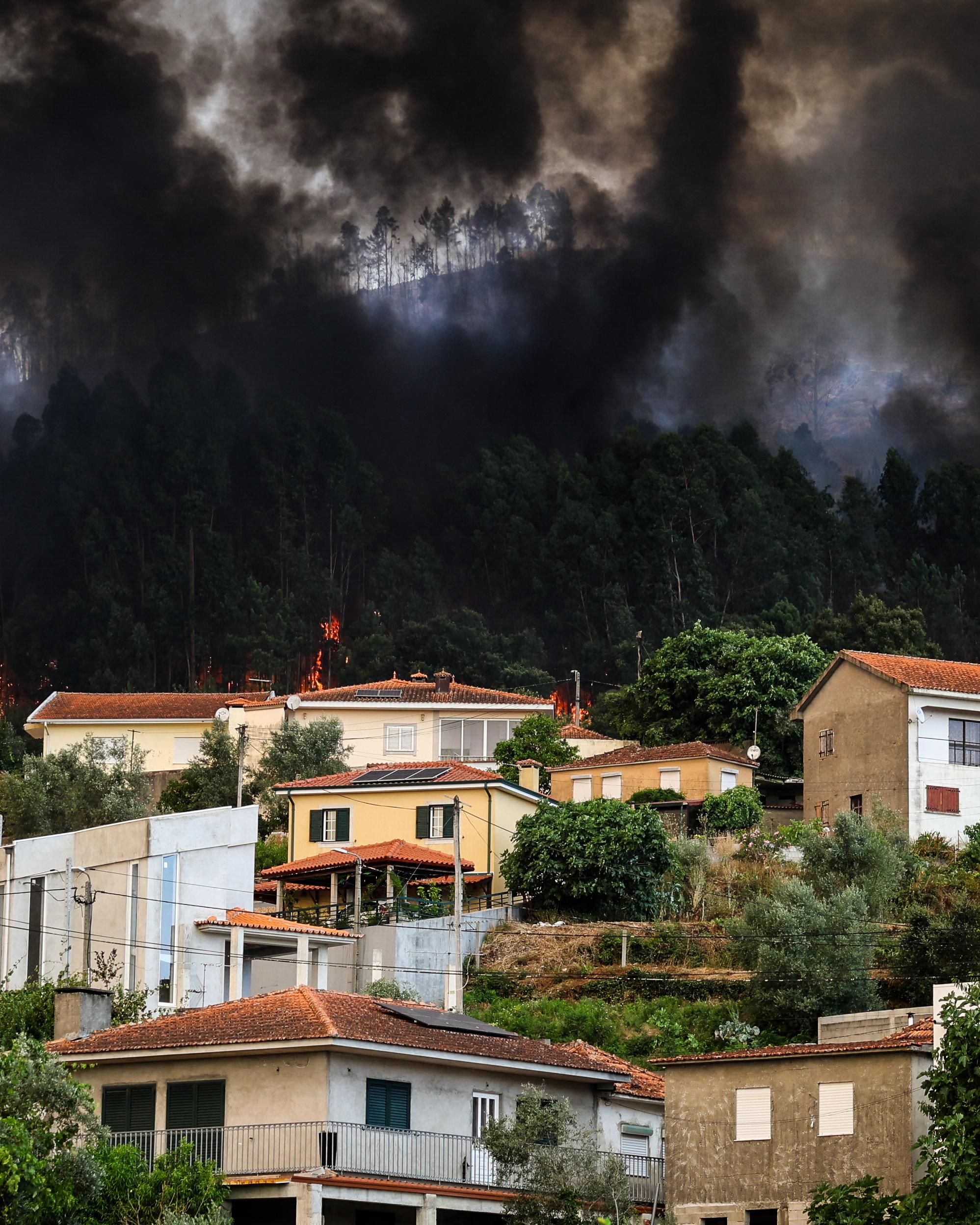 Day in Photos: Wildfire in Portugal, Protest in Peru, Cease-Fire in Thailand